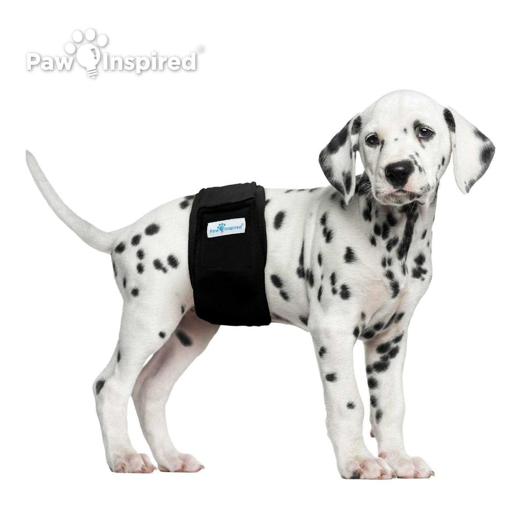 Washable Dog Belly Band O43062