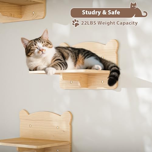 16 Pcs Wooden Cat Wall Shelves with Bed and Scratching Post W2223