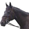 Dark Havana Bridle L792579