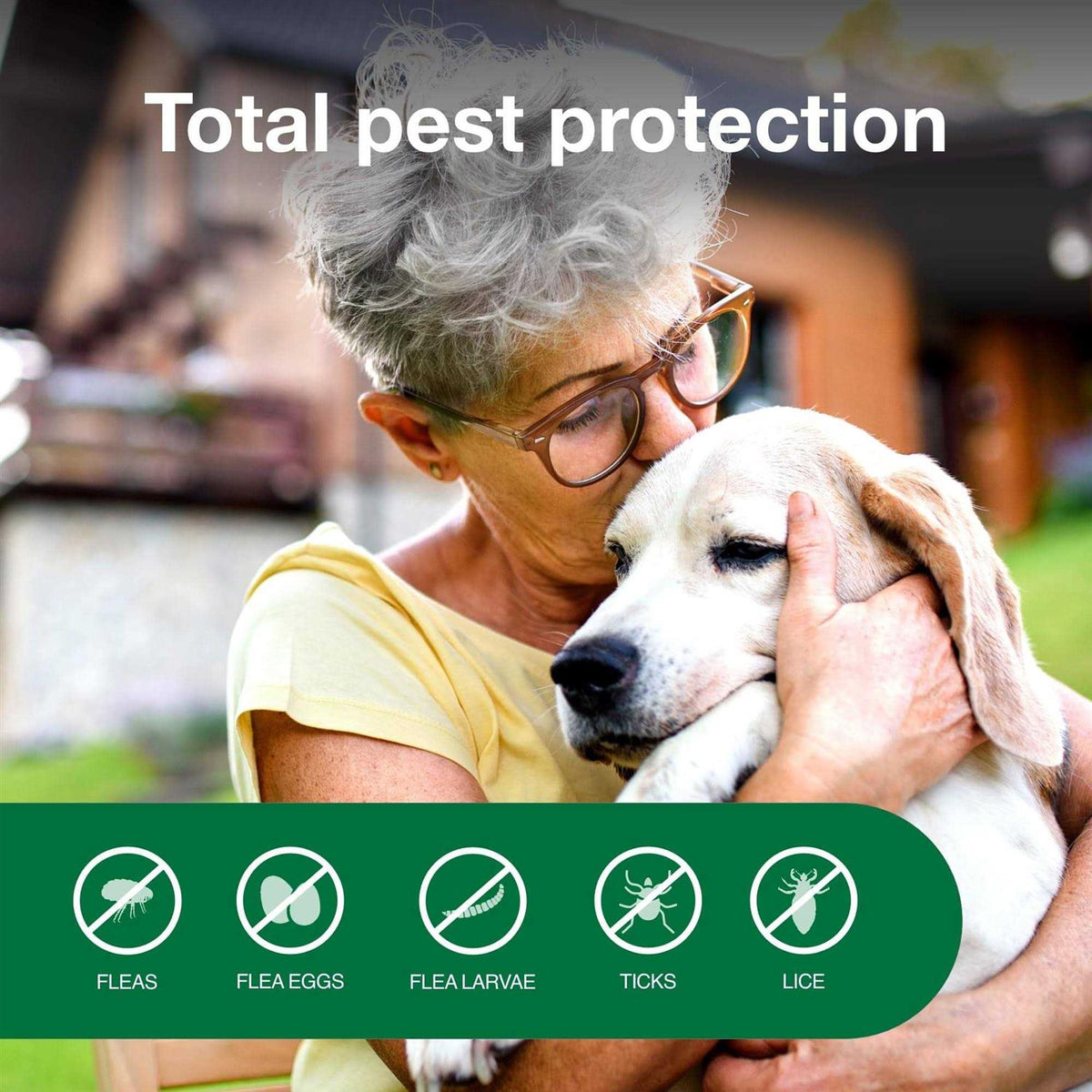 Flea & Tick Treatment Spray for Dogs L329