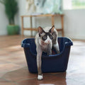 High Sided Cat Litter Box F925487