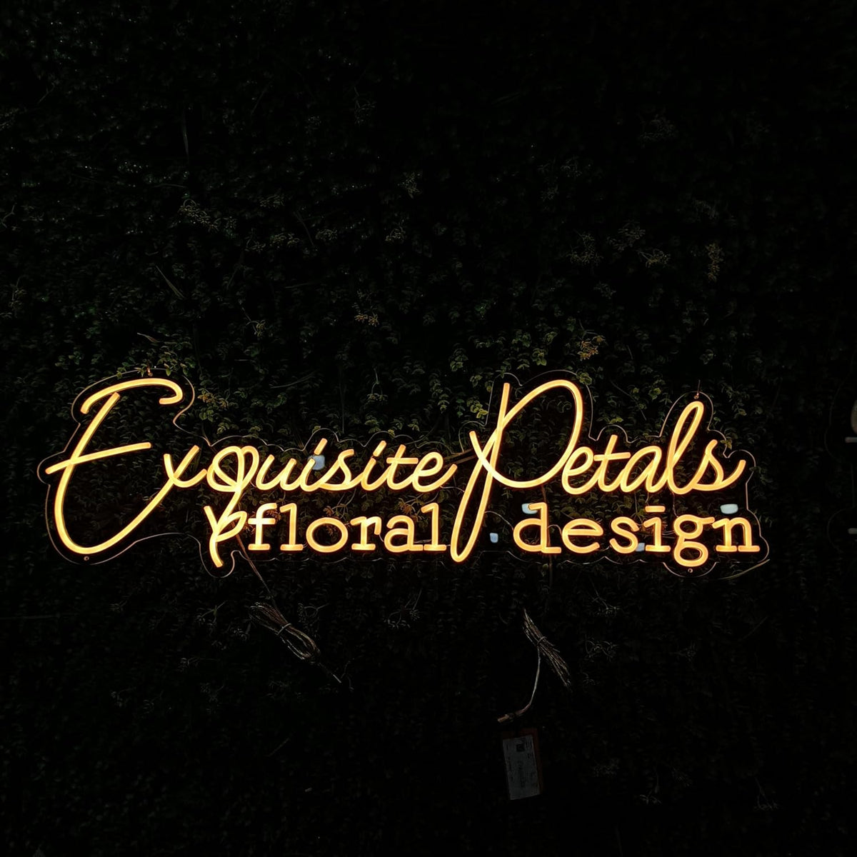 Custom Neon Signs J33865