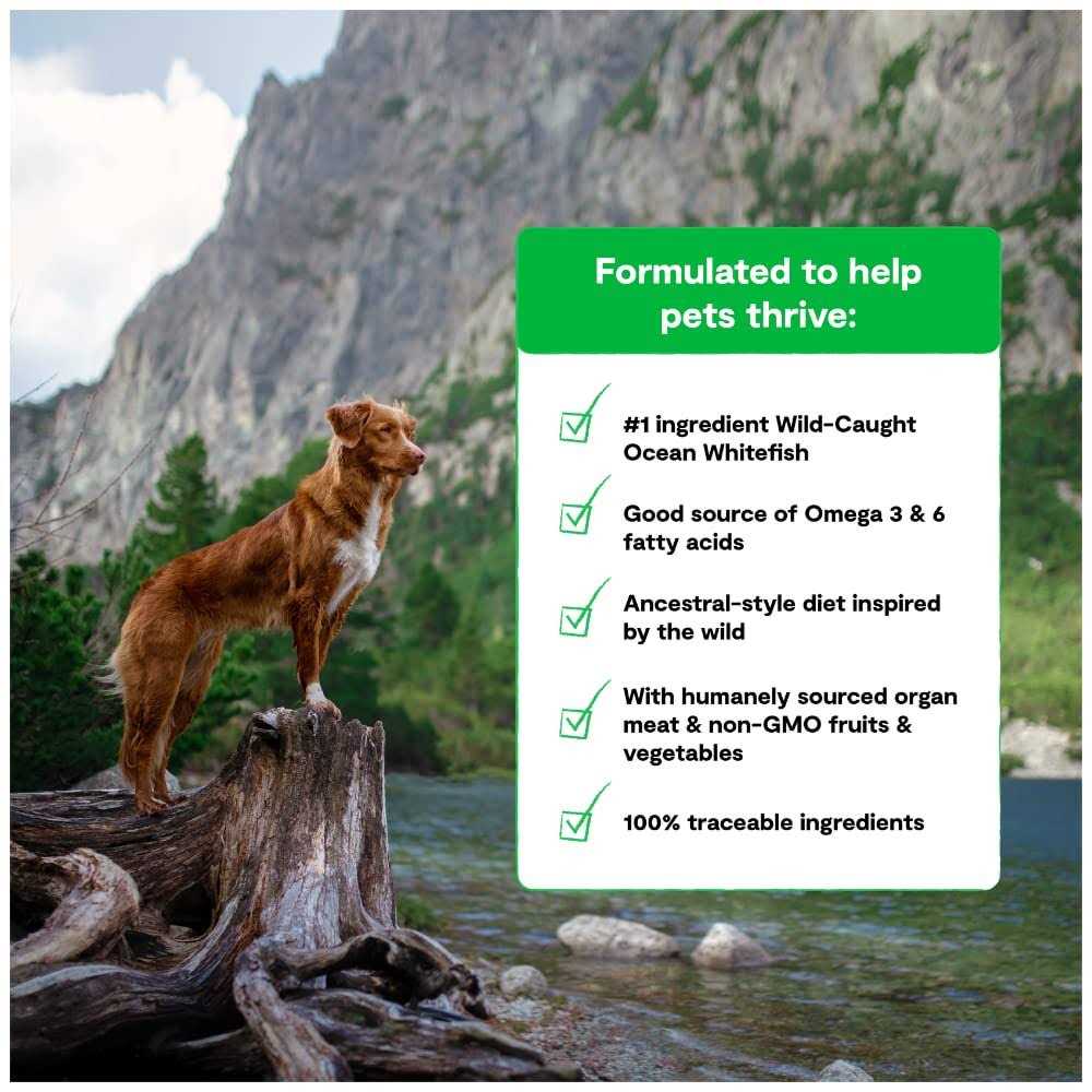 Grain-Free Dog Food Z417
