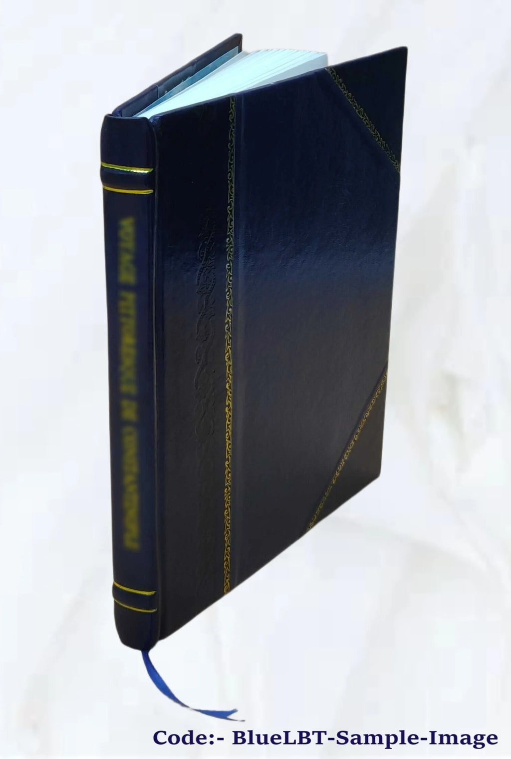 Leather Bound Book H473