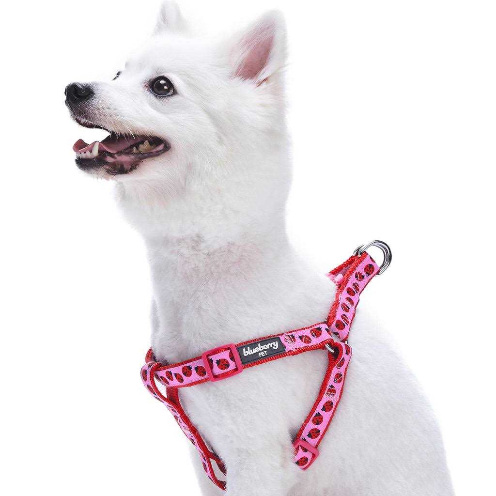 Dog Harness C616