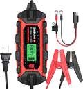 6V/2A and 12V/4A Smart Car Battery Charger R342