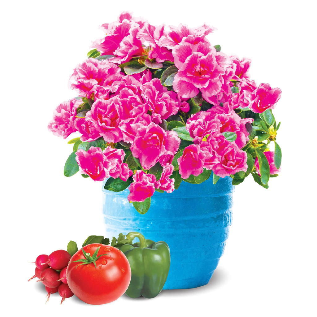 Natural & Organic 8 qt Potting Mix 4 Pack I7636