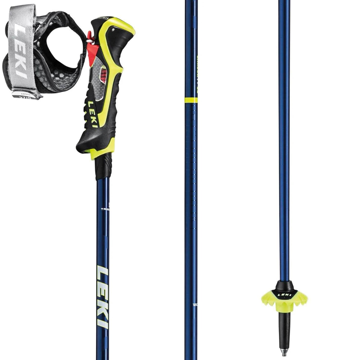 Ski Poles P6144