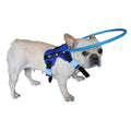 Blind Dog Harness Guiding Device V6783