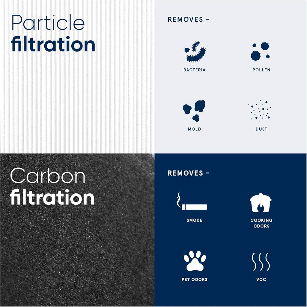 Particle and Activated Carbon Replacement Filter Pack of 2 D377593