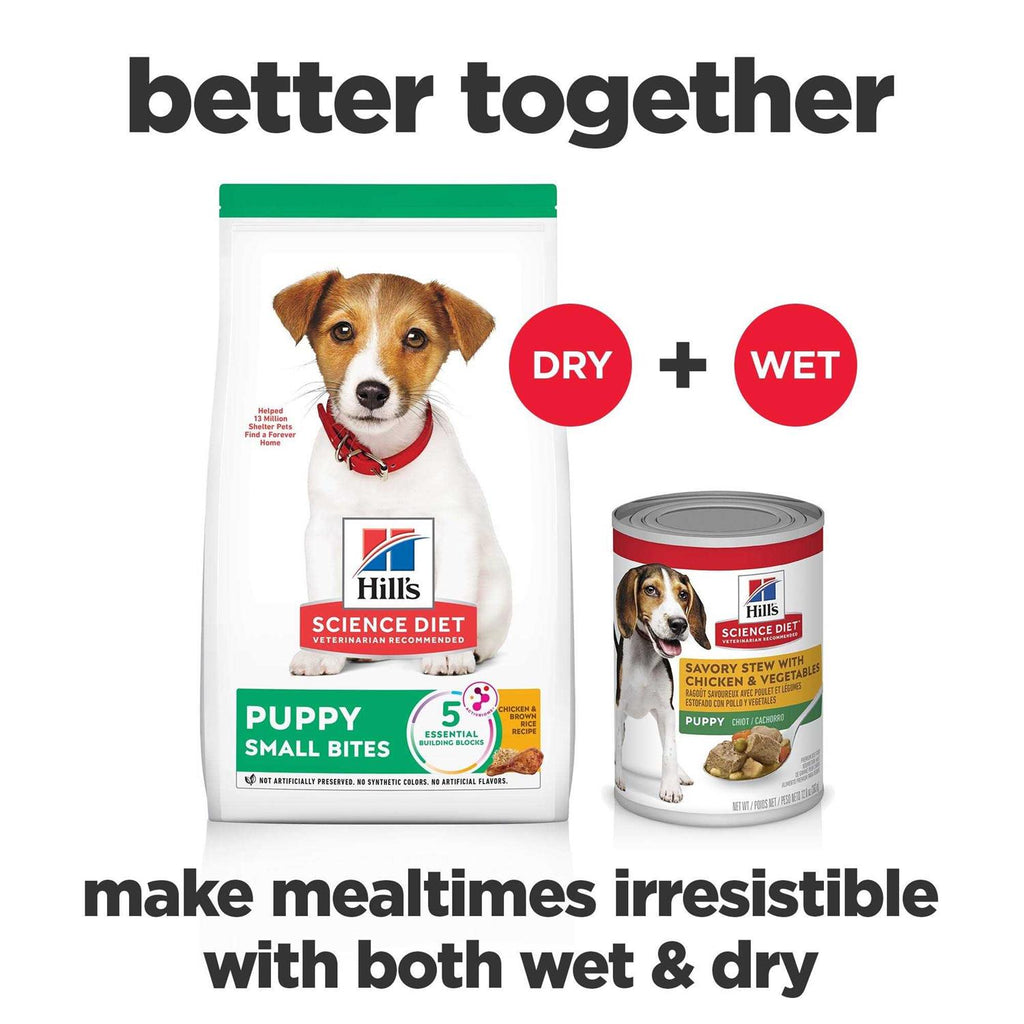 Dry Dog Food Z1839