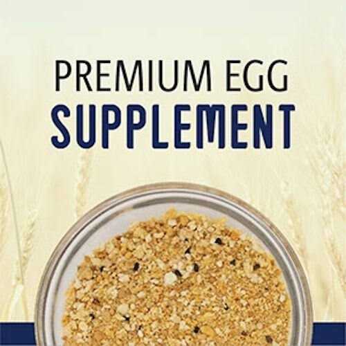 Egg Food Daily Supplement for Pet Birds A939
