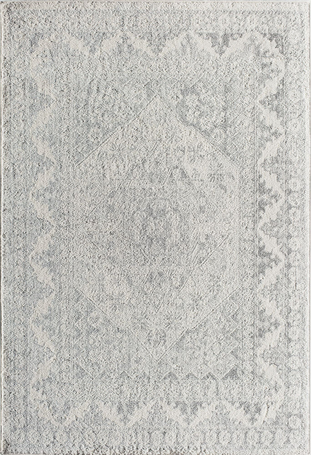 Grey Mist Vintage Transitional Area Rug D849