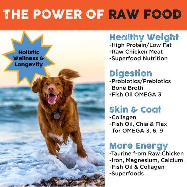 Freeze Dried Dog Food V310