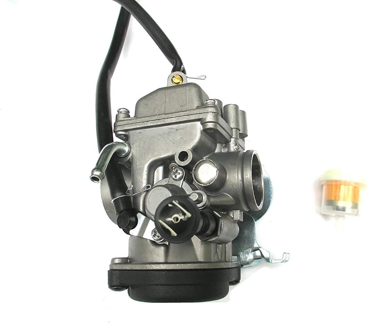 Carburetor with Fuel Filter Pack of 2 D700663