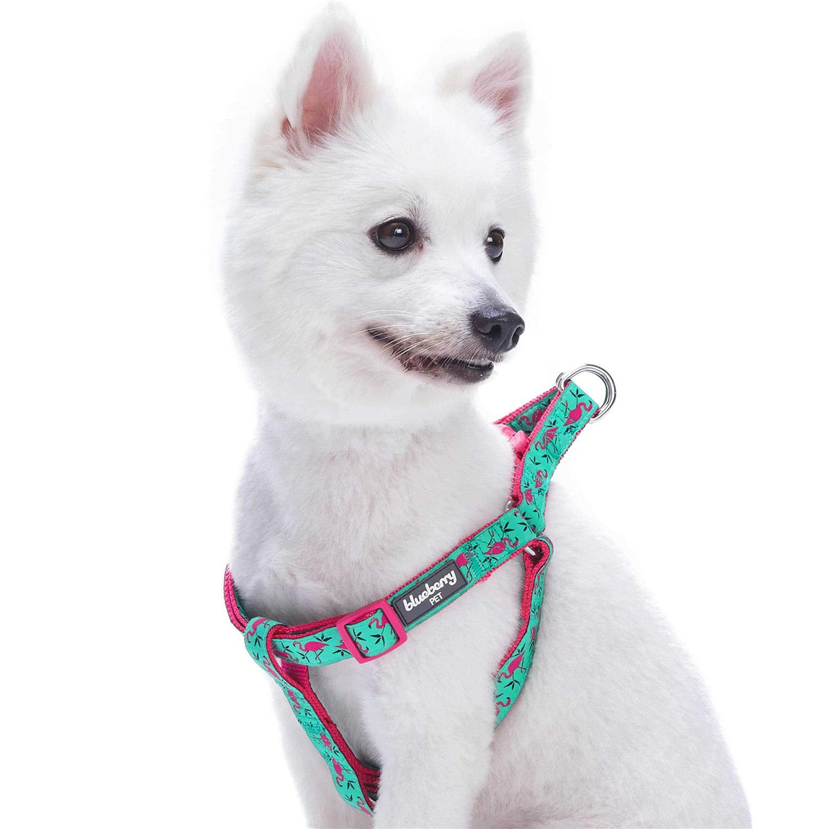 Dog Harness C616