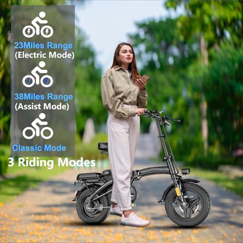 Folding Electric Bike 500W 48V 12AH X195