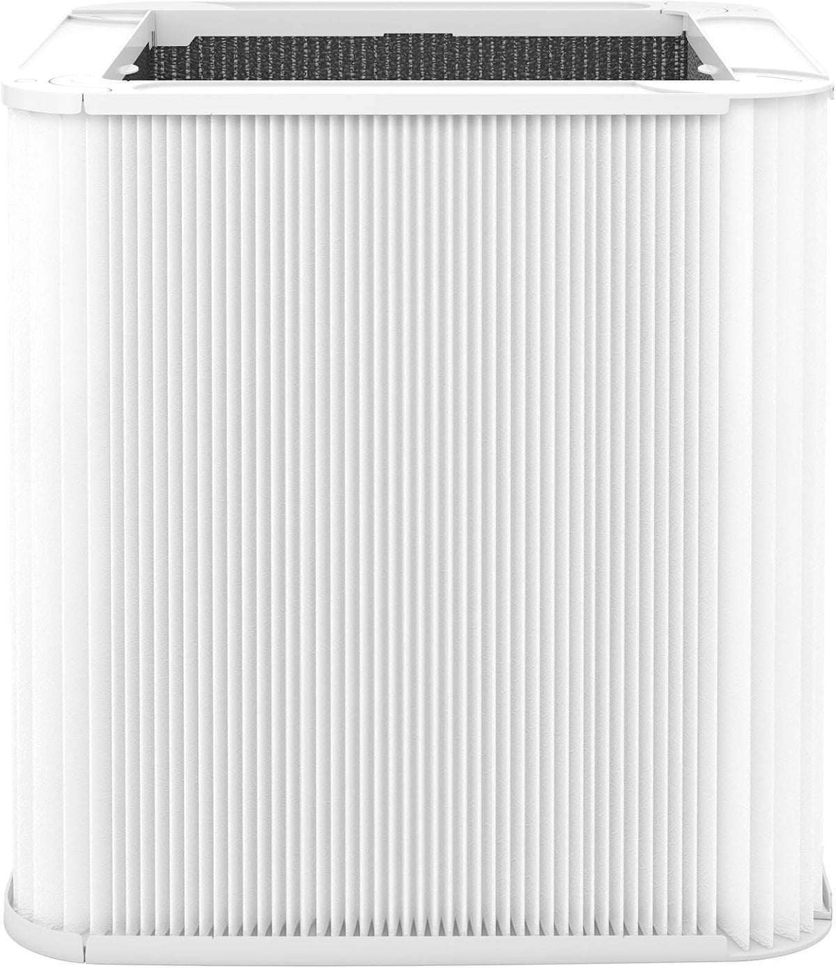 Particle and Activated Carbon Replacement Filter Pack of 2 D377593
