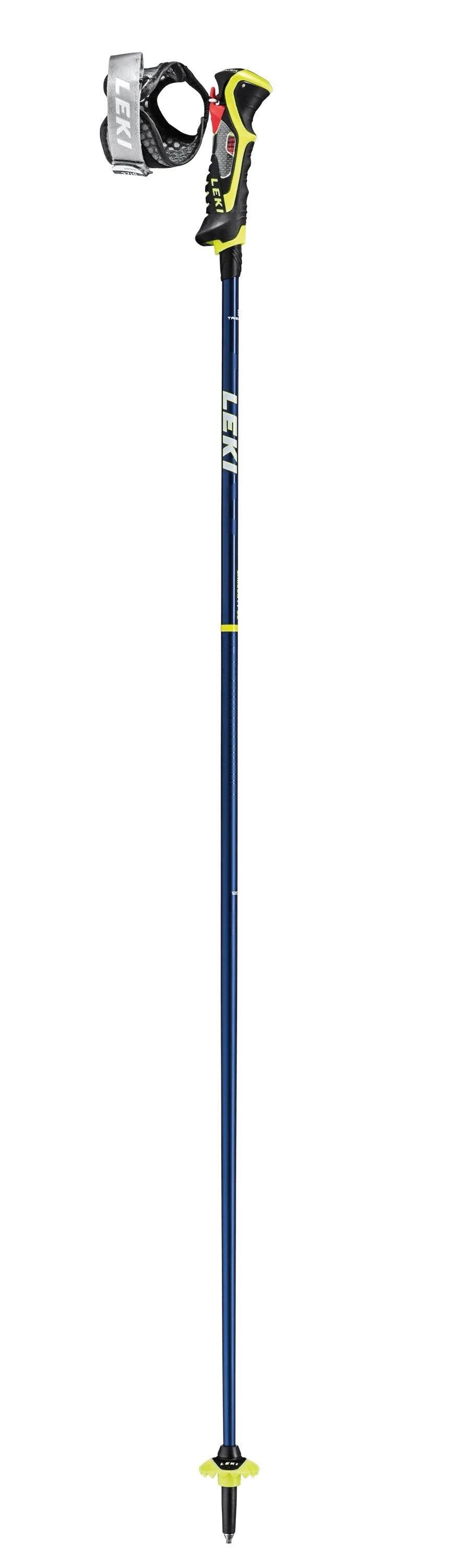 Ski Poles L68804