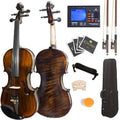 Solid Wood Full Size Violin with Case B432