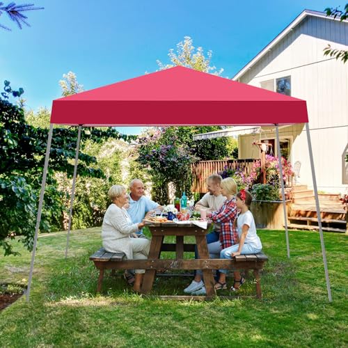 10X10 FT Pop Up Canopy Tent with Carrying Bag Q3862