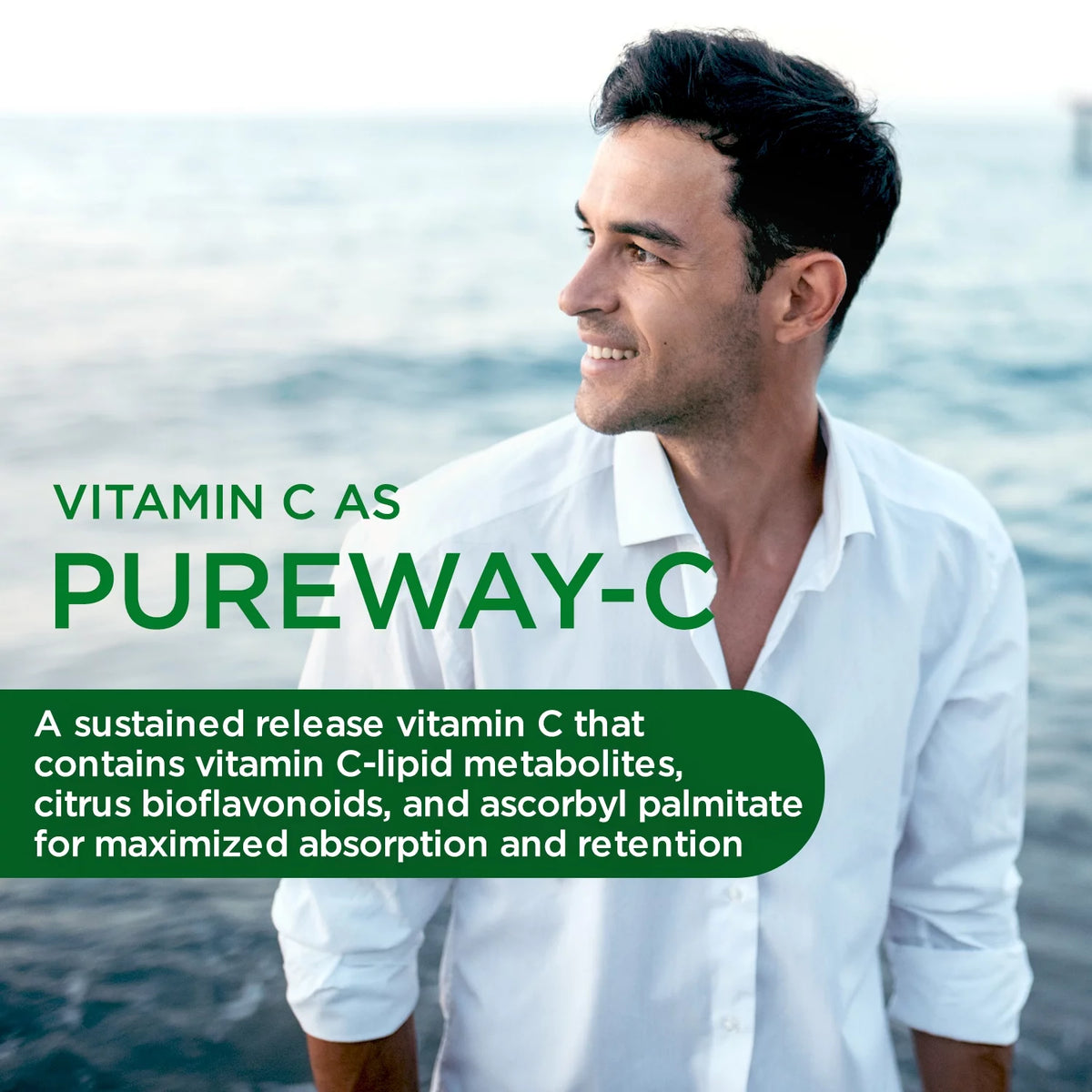 Men's Multivitamin with Methylated Folate, Zinc and Lycopene - 30 Vegetable Capsules P334920