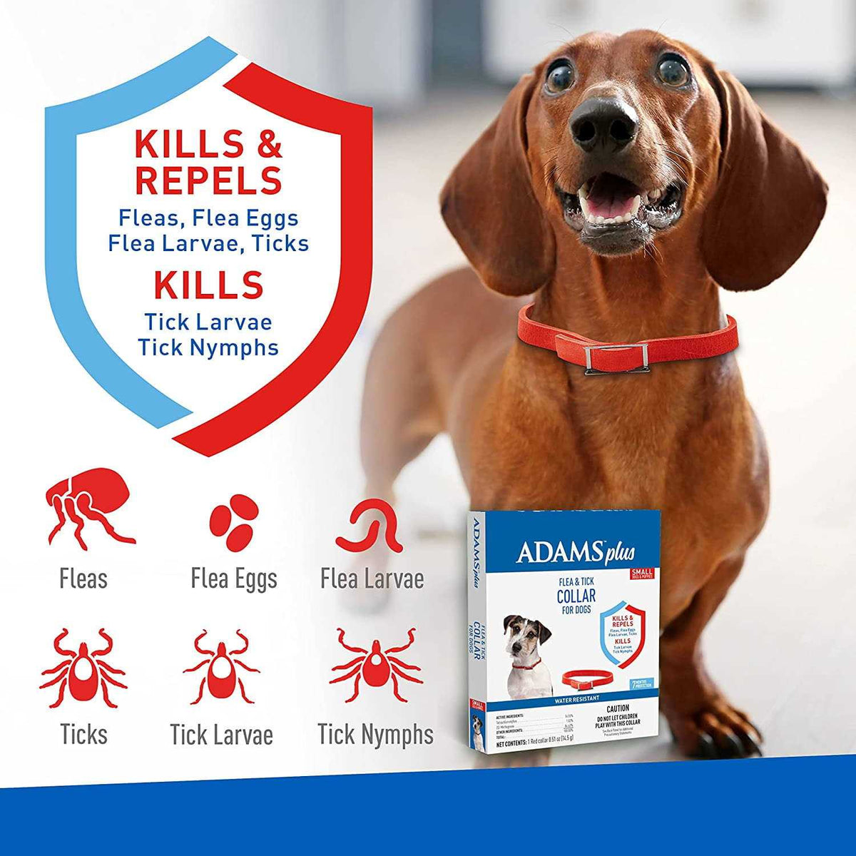 Flea & Tick Collar for Dogs K376689
