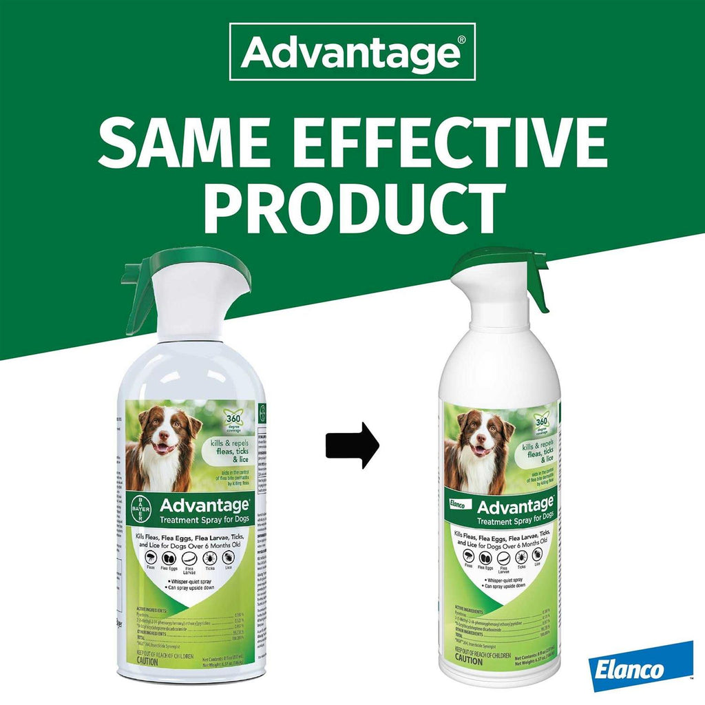 Flea & Tick Treatment Spray for Dogs C5632