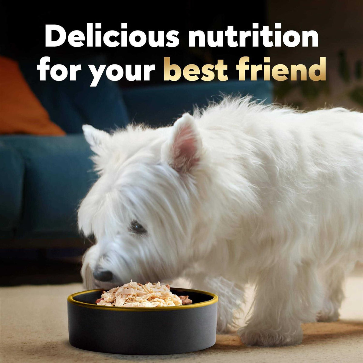 Wet Dog Food Bowls I89510