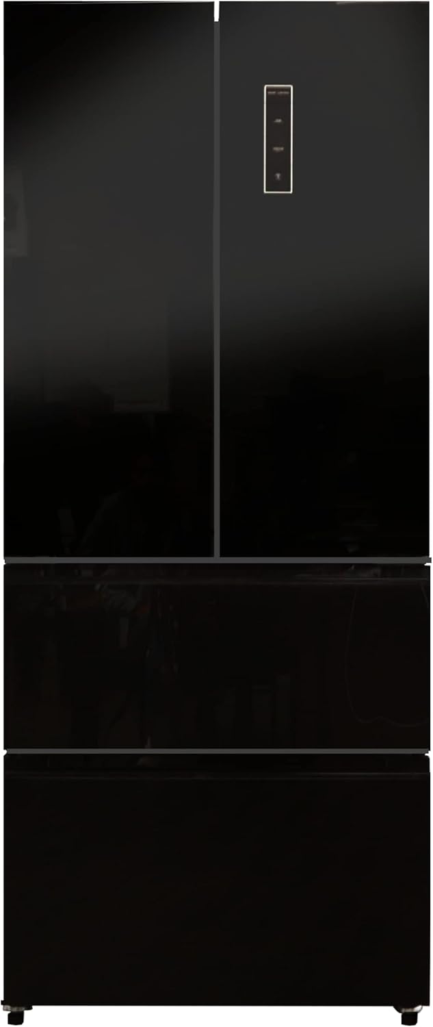 Black 30 Inch Frost Free French Door Refrigerator F667