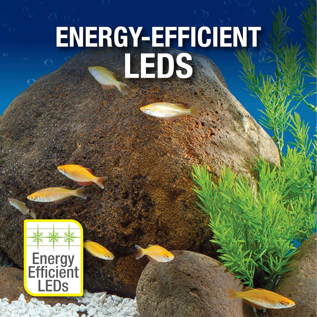 20 Gallon Complete Tropical Fish Tank Kit with LED Lighting K4970