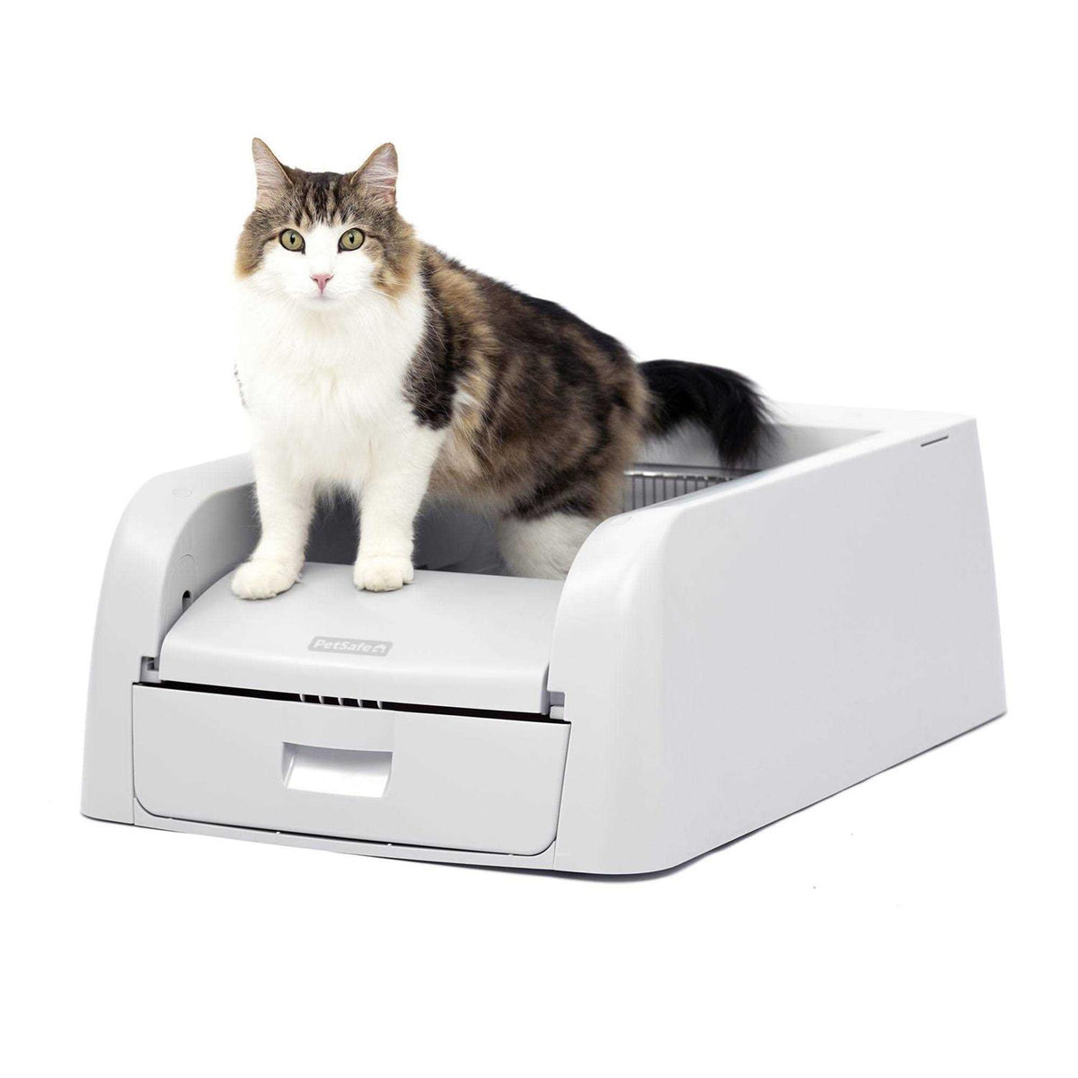 Self-Cleaning Litter Box B29547