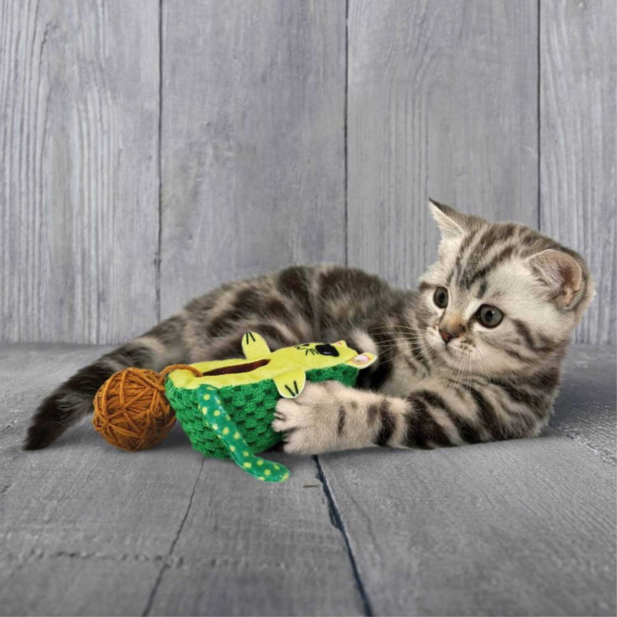 Cat Toy W729536
