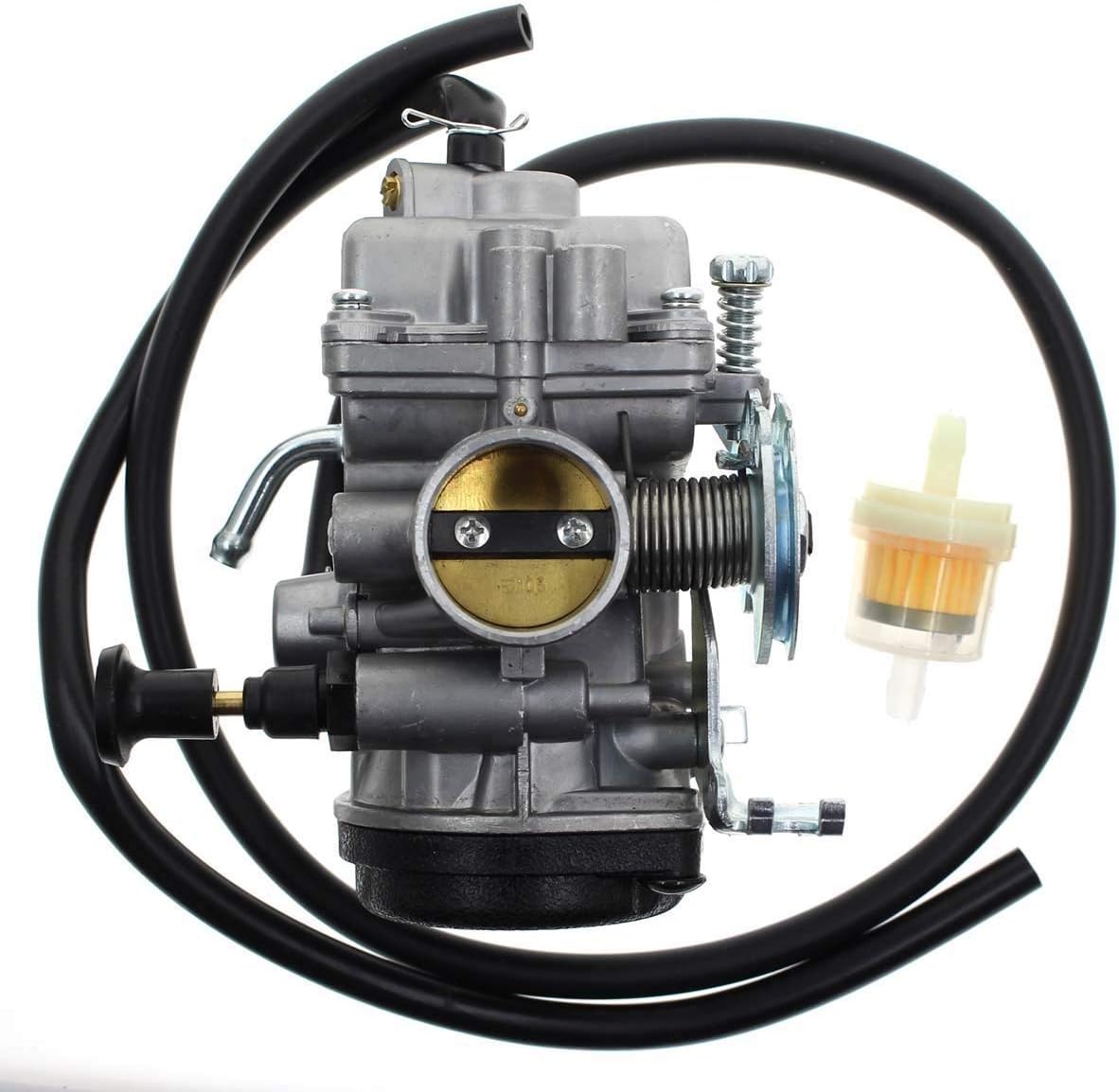 Carburetor with Fuel Filter Pack of 2 D700663