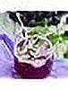 12 oz 12 Pack Glass Soda M6101