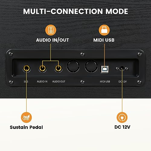 Black 88 Key Weighted Digital Piano with Hammer Action, Dual 25W Speakers, Triple Pedal E6461