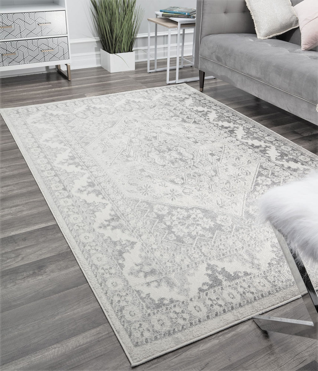 Grey Mist Vintage Transitional Area Rug D849