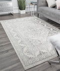 Grey Mist Vintage Transitional Area Rug D849