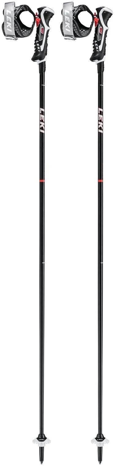 Ski Poles P6144