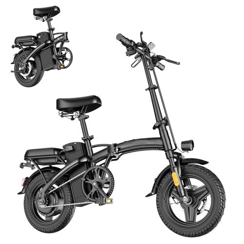 Folding Electric Bike 500W 48V 12AH X195