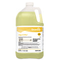 1 Gal Bottle Disinfectant Sanitizer N58318