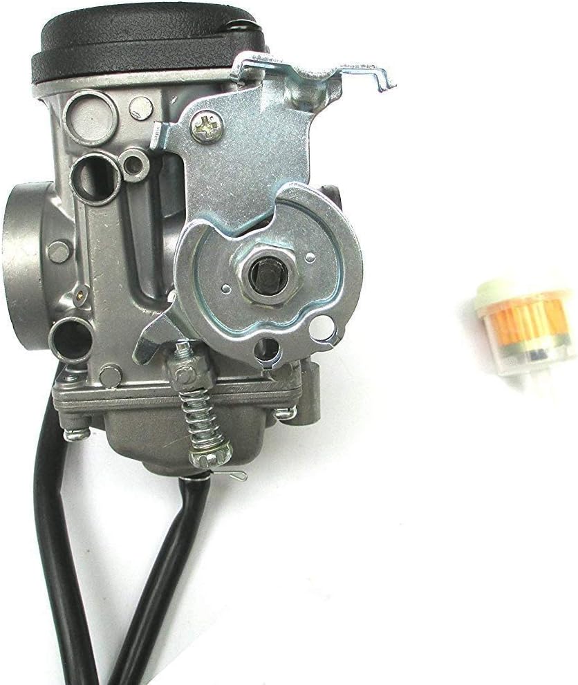 Carburetor with Fuel Filter Pack of 2 D700663