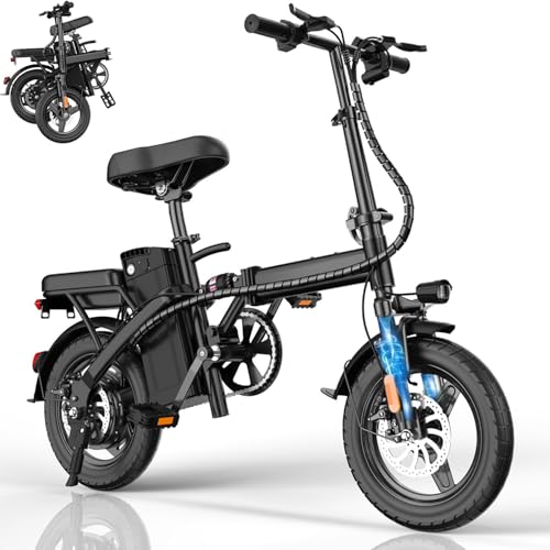 Folding Electric Bike 500W 48V 12AH X195
