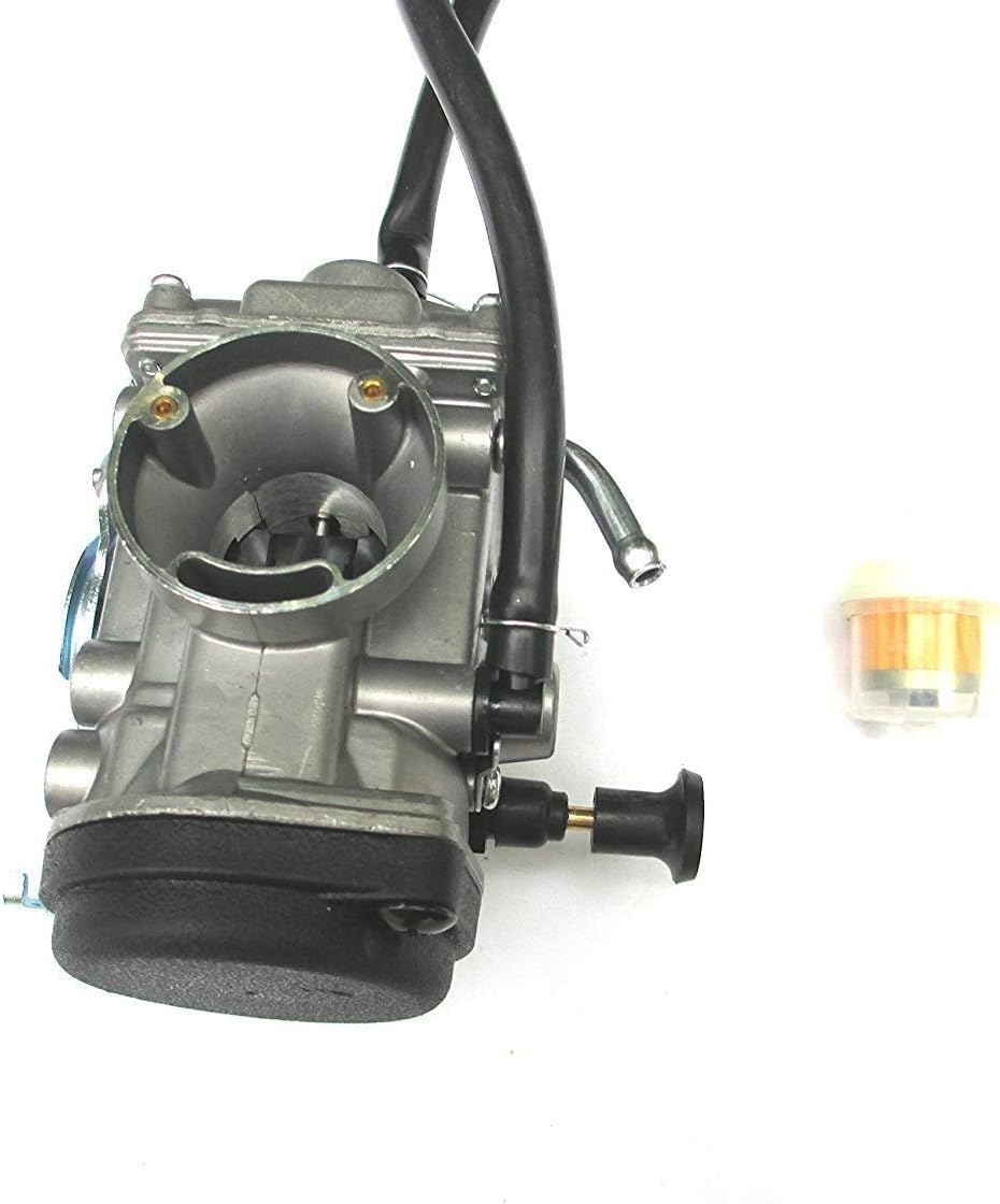 Carburetor with Fuel Filter Pack of 2 D700663