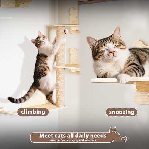 16 Pcs Wooden Cat Wall Shelves with Bed and Scratching Post W2223