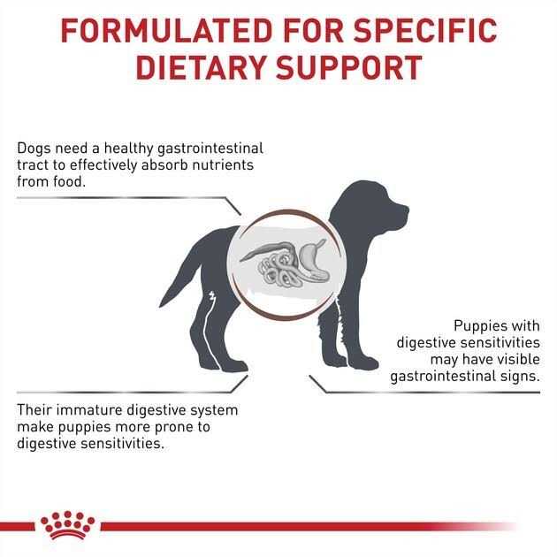 Veterinary Diet Gastrointestinal Puppy Ultra Soft Mousse in Sauce Canned Dog Food Q321672