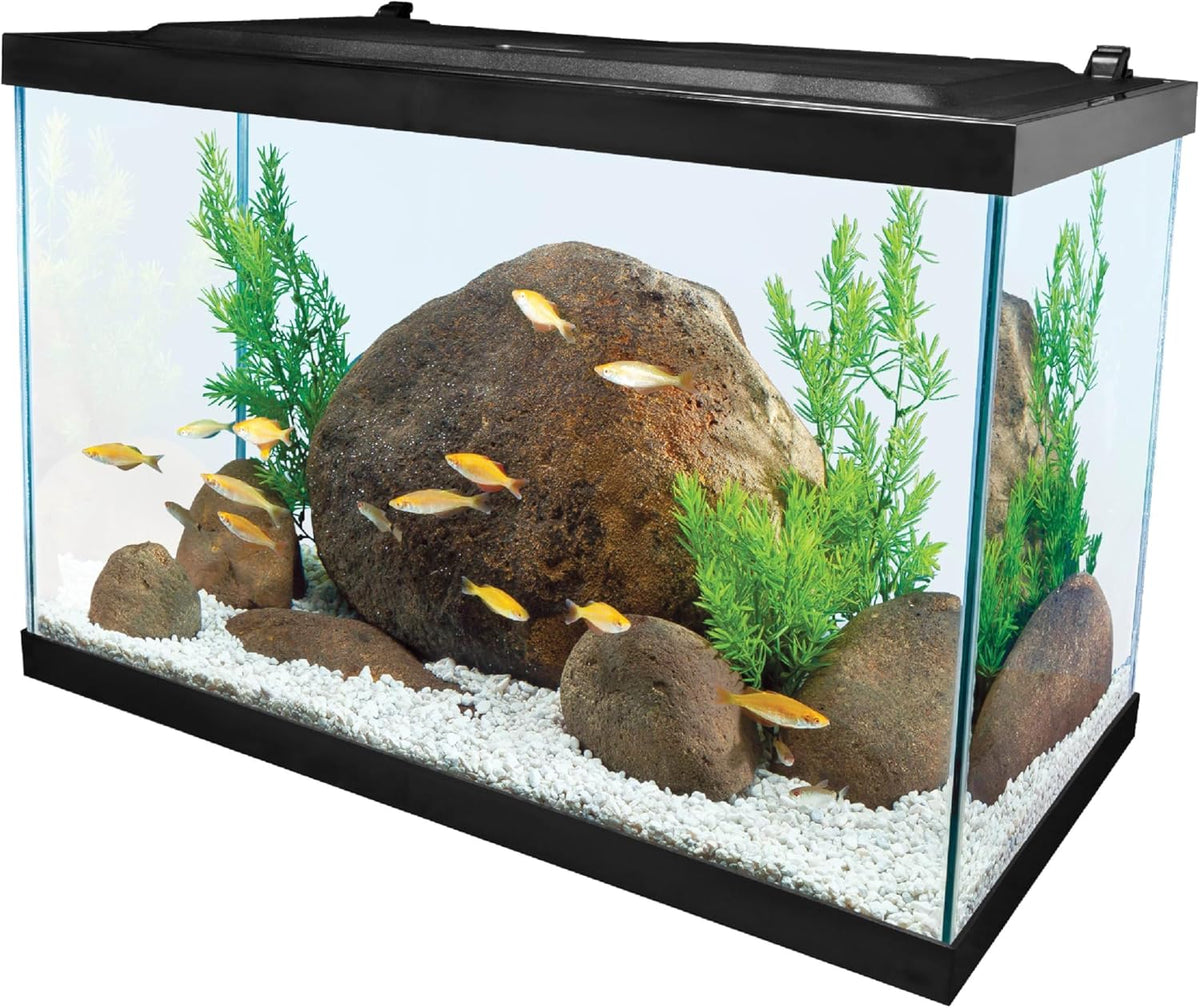 20 Gallon Complete Tropical Fish Tank Kit with LED Lighting K4970