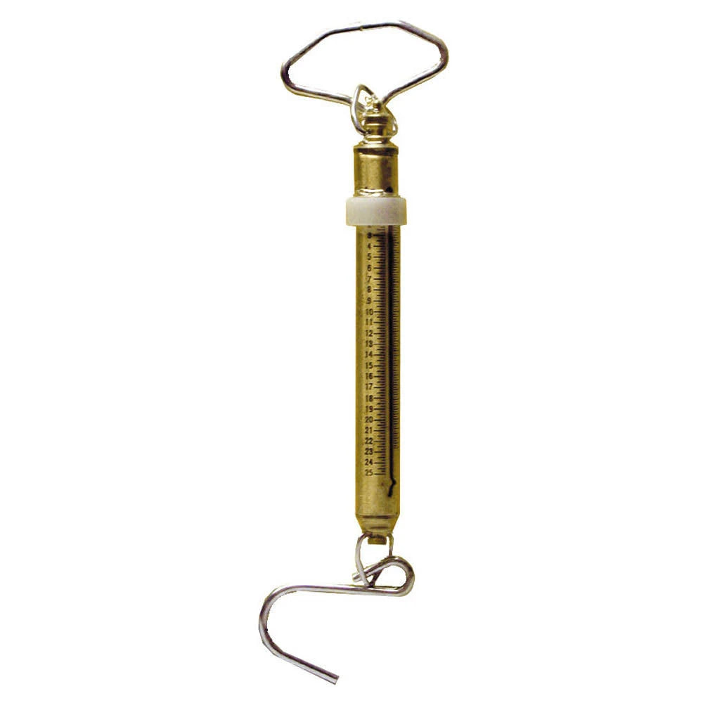 Brass 50 Pound Fishing Scale B395055