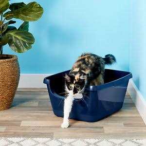 High Sided Cat Litter Box F925487