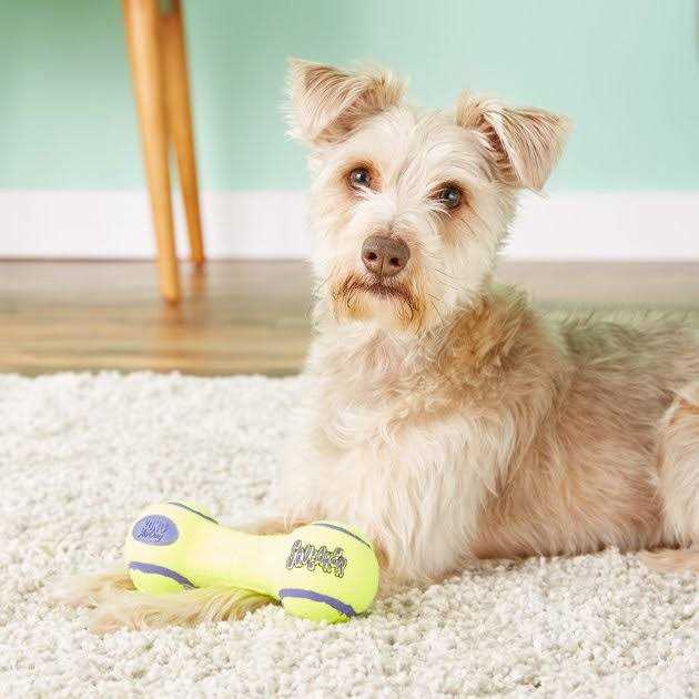 Squeaker Dumbbell A834071
